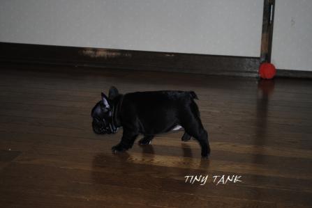 201211146.jpg