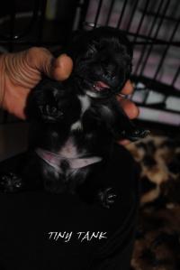 DSC_0050.jpg