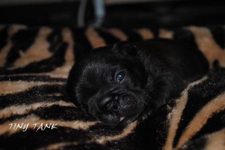 DSC_0061_20121023234447.jpg