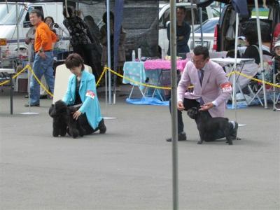 IMG_0098.jpg