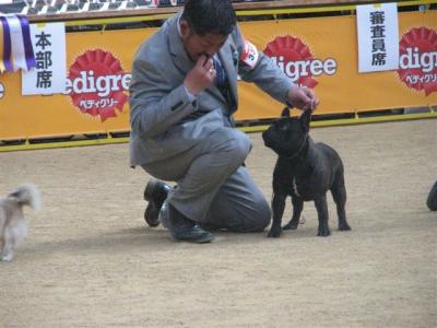 IMG_0119.jpg