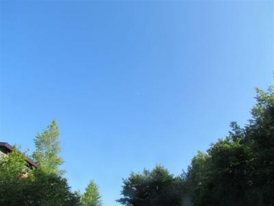 IMG_0135.jpg
