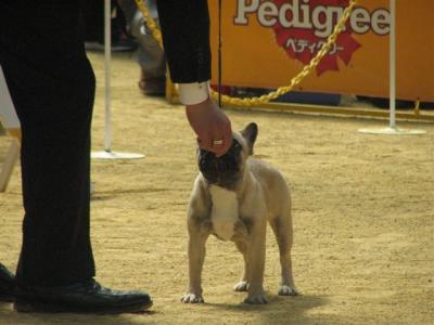 IMG_0145.jpg