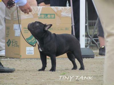 IMG_0416.jpg