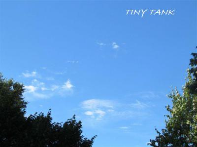 IMG_0539.jpg