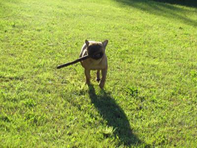 IMG_0777.jpg