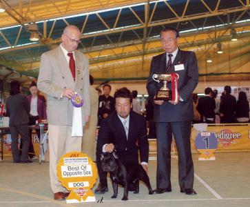 dog-show3_20121124094757.jpg