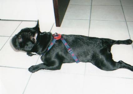img005.jpg
