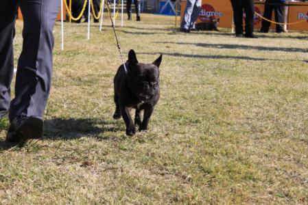 kamui2_20121119231750.jpg