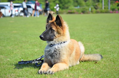 DSC_1592.jpg