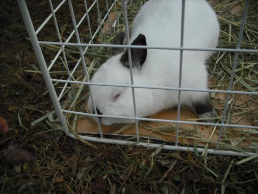 DSCF3857.jpg