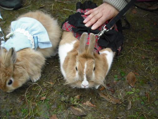 DSCF3915.jpg
