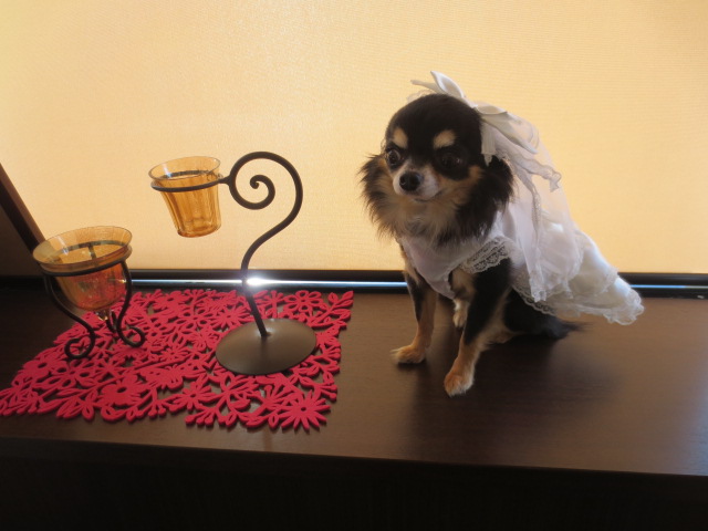 IMG_3261.jpg