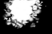 255aa009.jpg