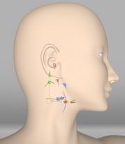 293a007.jpg