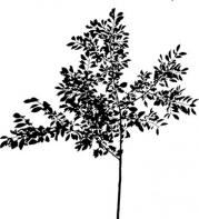 304a004.jpg