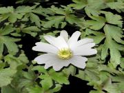 314a005.jpg