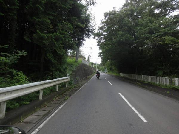 2012-07-080003.jpg