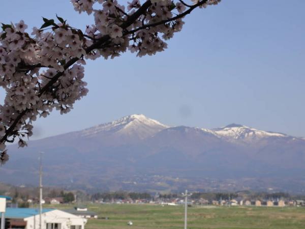 2012東北0062