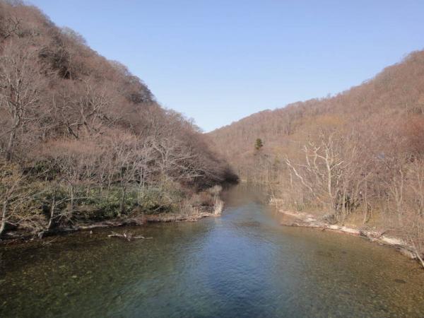 2012東北0115