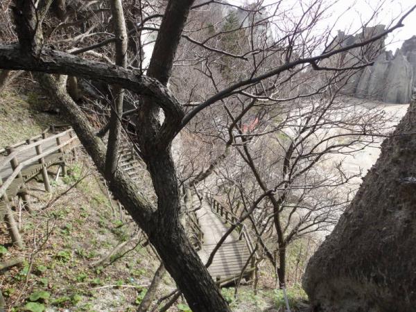 2012東北0239