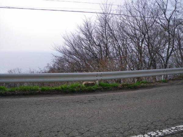 2012東北0043