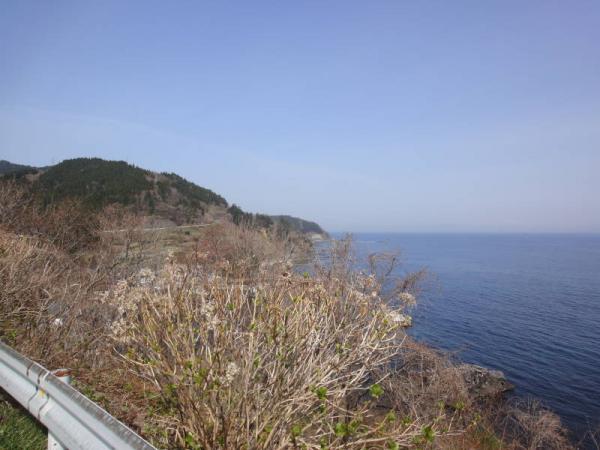 2012東北0316