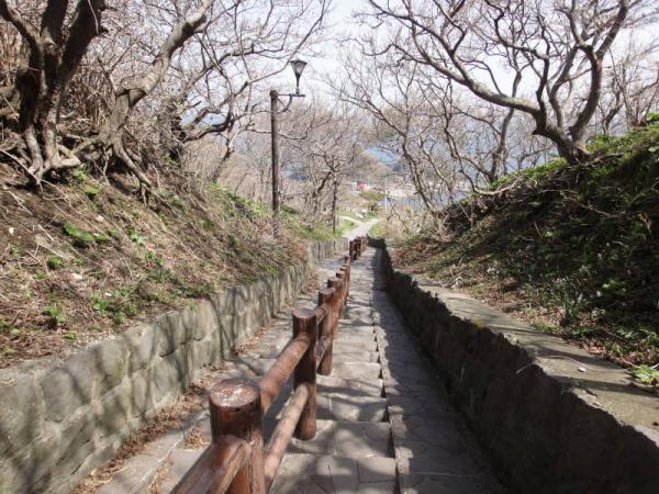 2012東北0330
