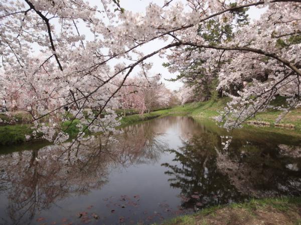 2012東北0394