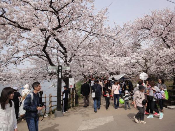 2012東北0390