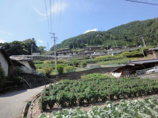 2012-08 信州0037