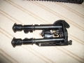 IMGP0621.jpg