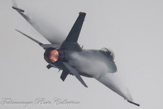 CQ3D3524-48-Edit.jpg