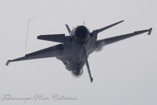 CQ3D3765-276-Edit.jpg