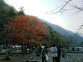 紅葉アップ