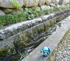 初音谷から取水された用水路です