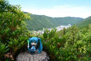 郡上八幡城から見た街並み
