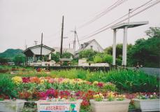 ホームの後ろには沢山の花が