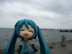 ミクさんと写ってみます