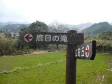 近くに滝があるようだ