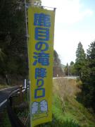 のぼりが立ってた!