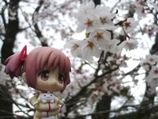 ミカタンブログとは違うバージョンです