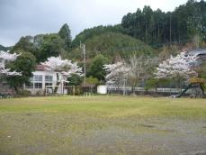 校庭の様子