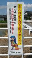 まほろちゃんが載ってます☆