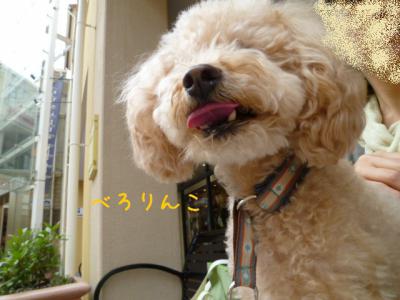 べろりんこ