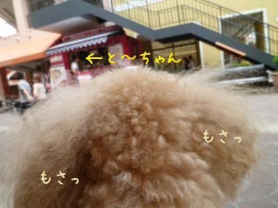 視線の先
