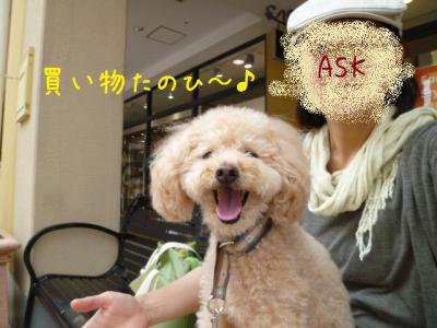 かいもの