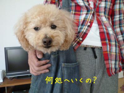 どこ行くの