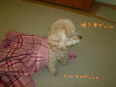 ゆめ