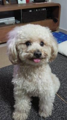 2歳